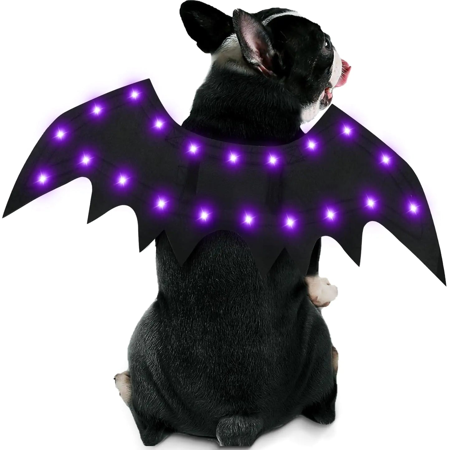 Malier Light Up Dog Halloween Costume 20 LED Dog Bat Wings Halloween Cosplay Costume with Purple Lights Funny Halloween Clothes Thanksgiving Gifts for Dogs Puppy Cat (Black Medium)