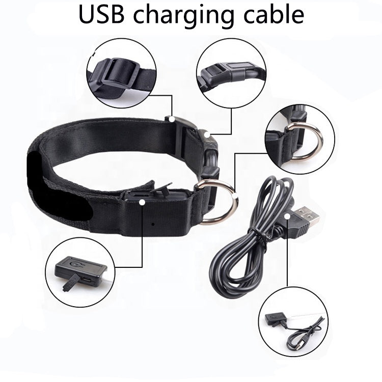 Image of Usb Rechargeable Led Pet Dog Collar 356587926 from Edmene LLC