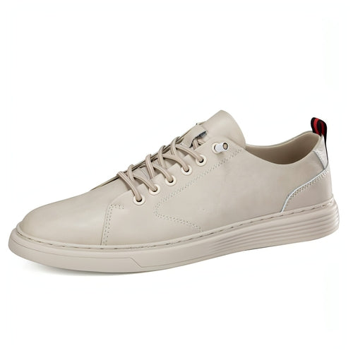 Image of White Shoes Student Low Top Sneaker 805372101 from Edmene LLC
