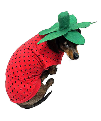 Pet Halloween Costume Dog Strawberry Costume Role Play Clothes for Thanksgiving Christmas (Red M)