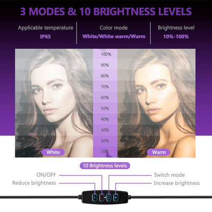 Image of Led Ring Light With Phone Tripod Stand Kit 10 218964277 from Edmene LLC