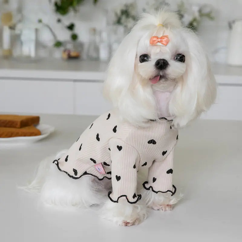New Year Christmas Dress for Dogs and Cats
