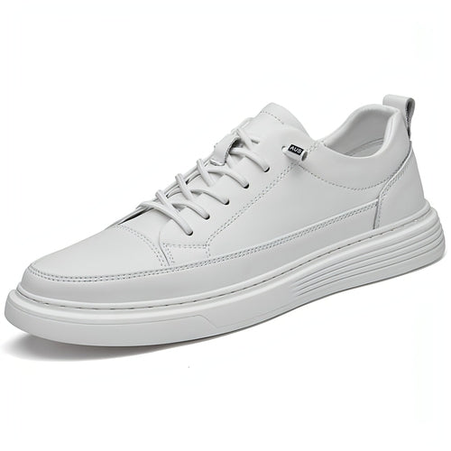 Image of White Shoes Student Low Top Sneaker 805372101 from Edmene LLC