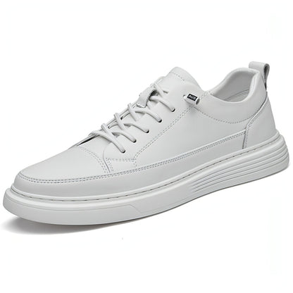 Image of White Shoes Student Low Top Sneaker 805372101 from Edmene LLC