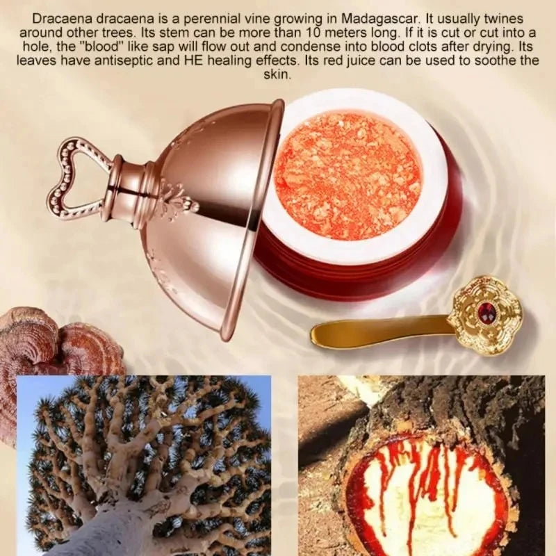 Image of Dragons Blood Face Cream Retinol Placenta Essence Brightening Lift 421953909 from Edmene LLC