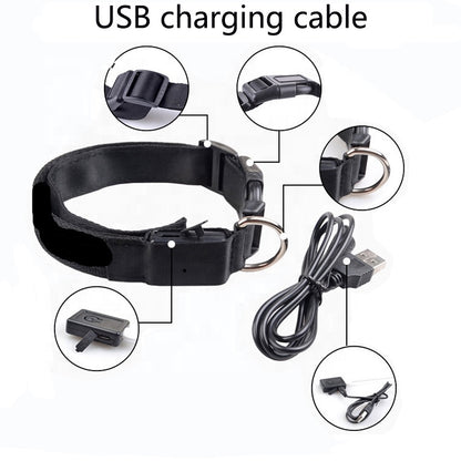 Image of Usb Rechargeable Led Pet Dog Collar 356587926 from Edmene LLC
