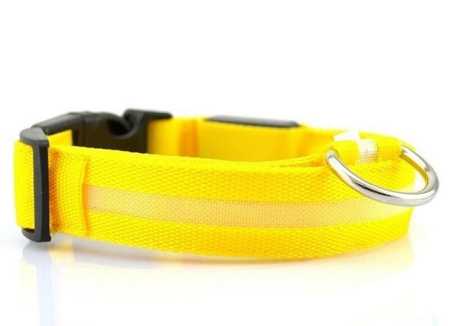 Image of Usb Rechargeable Led Pet Dog Collar 356587926 from Edmene LLC