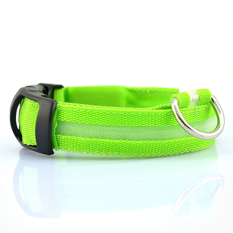 Image of Usb Rechargeable Led Pet Dog Collar 356587926 from Edmene LLC