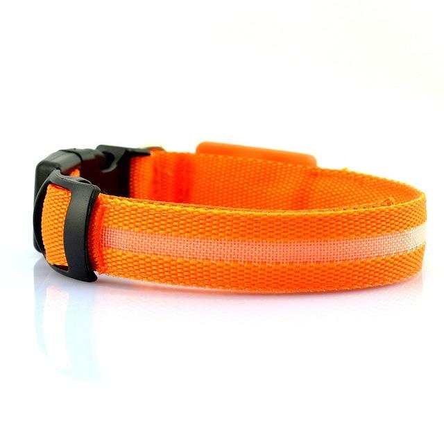 Image of Usb Rechargeable Led Pet Dog Collar 356587926 from Edmene LLC