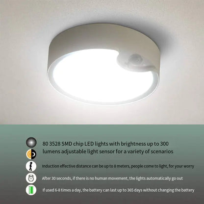 80LED Induction Ceiling Light for Home and Bedroom